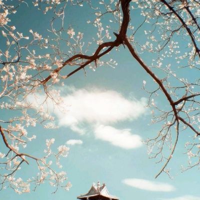 三国群英传争霸手游下载